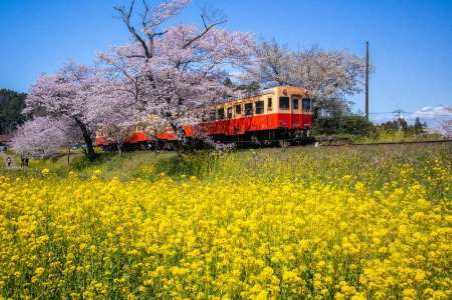 Yoro Valley and the Kominato Isumi Railway