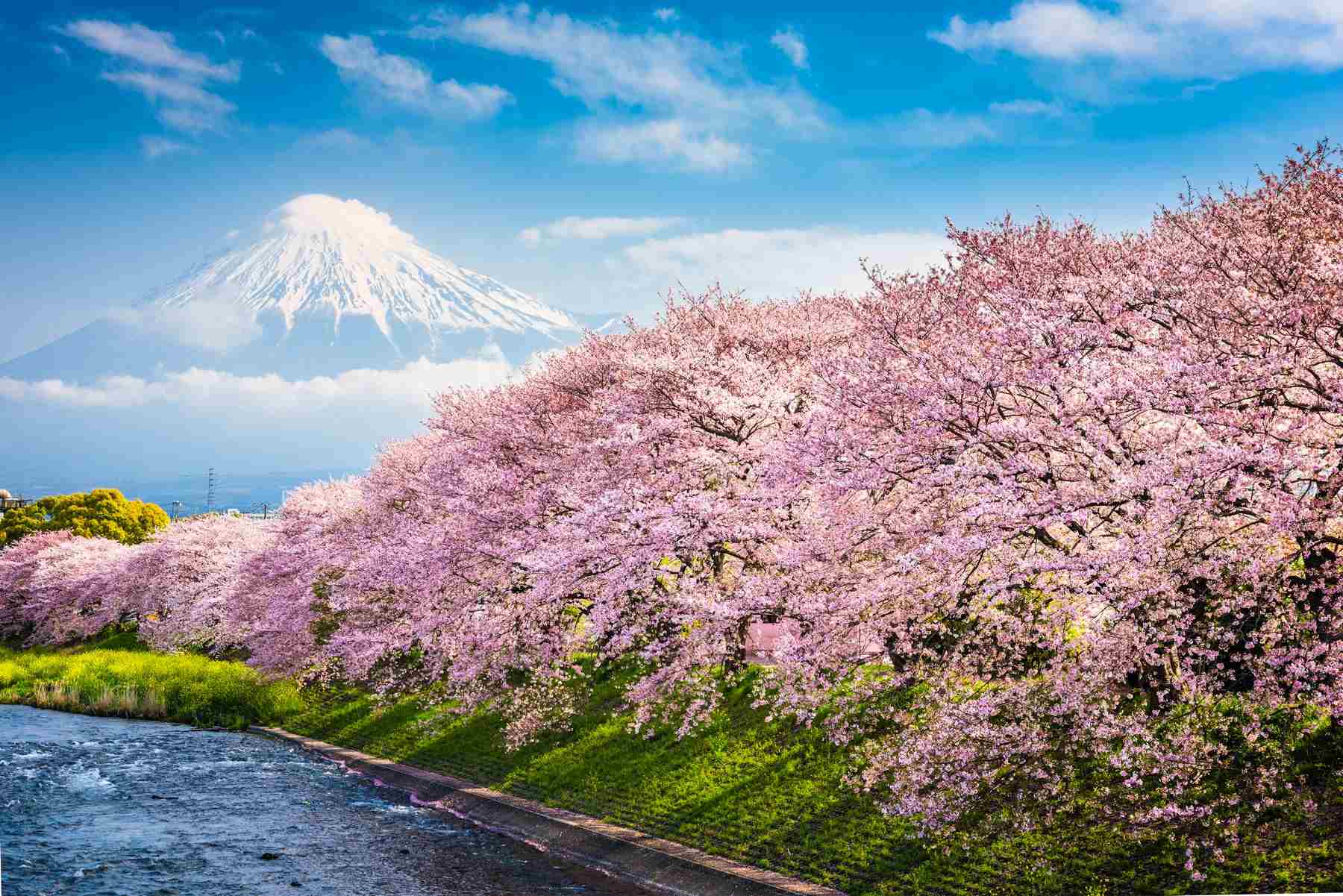 Mount Fuji Shizuoka Area