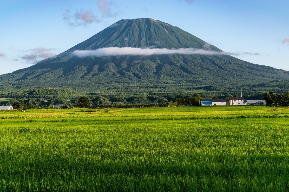 Niseko