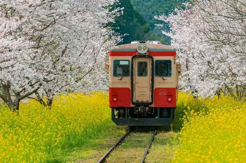 Yoro Valley and the Kominato Isumi Railway